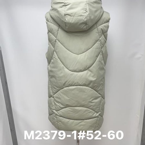 Жилетка Jacket (M-2XL) M2379-1 grey (деми) Jacket M2379-1 grey