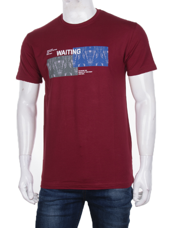 Футболка CND2 (M-2XL) 3707-0094-1 (лето)