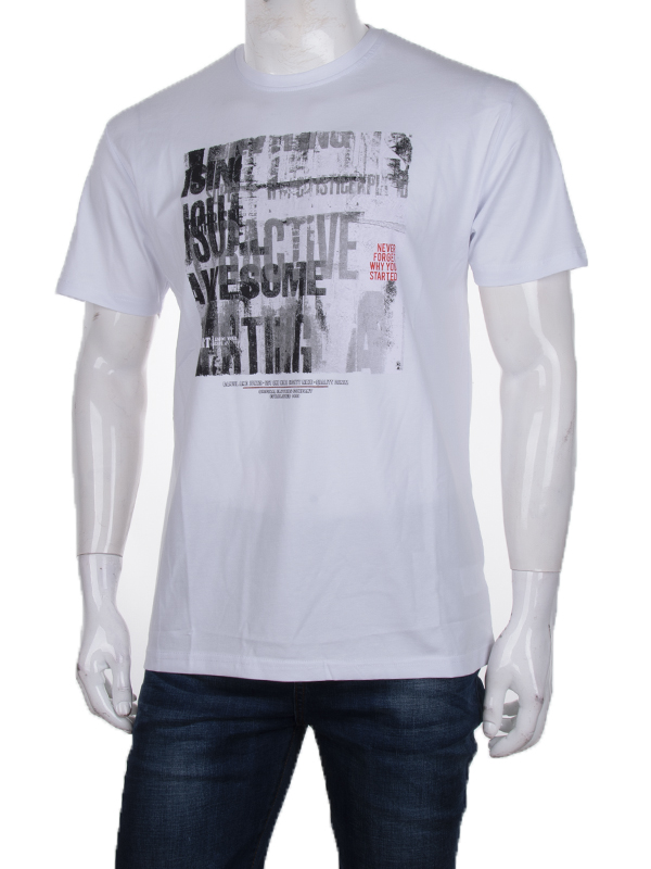 Футболка CND2 (M-2XL) 3707-109-4 (лето)