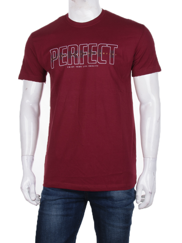 Футболка CND2 (M-2XL) 3707-068-1 (лето)
