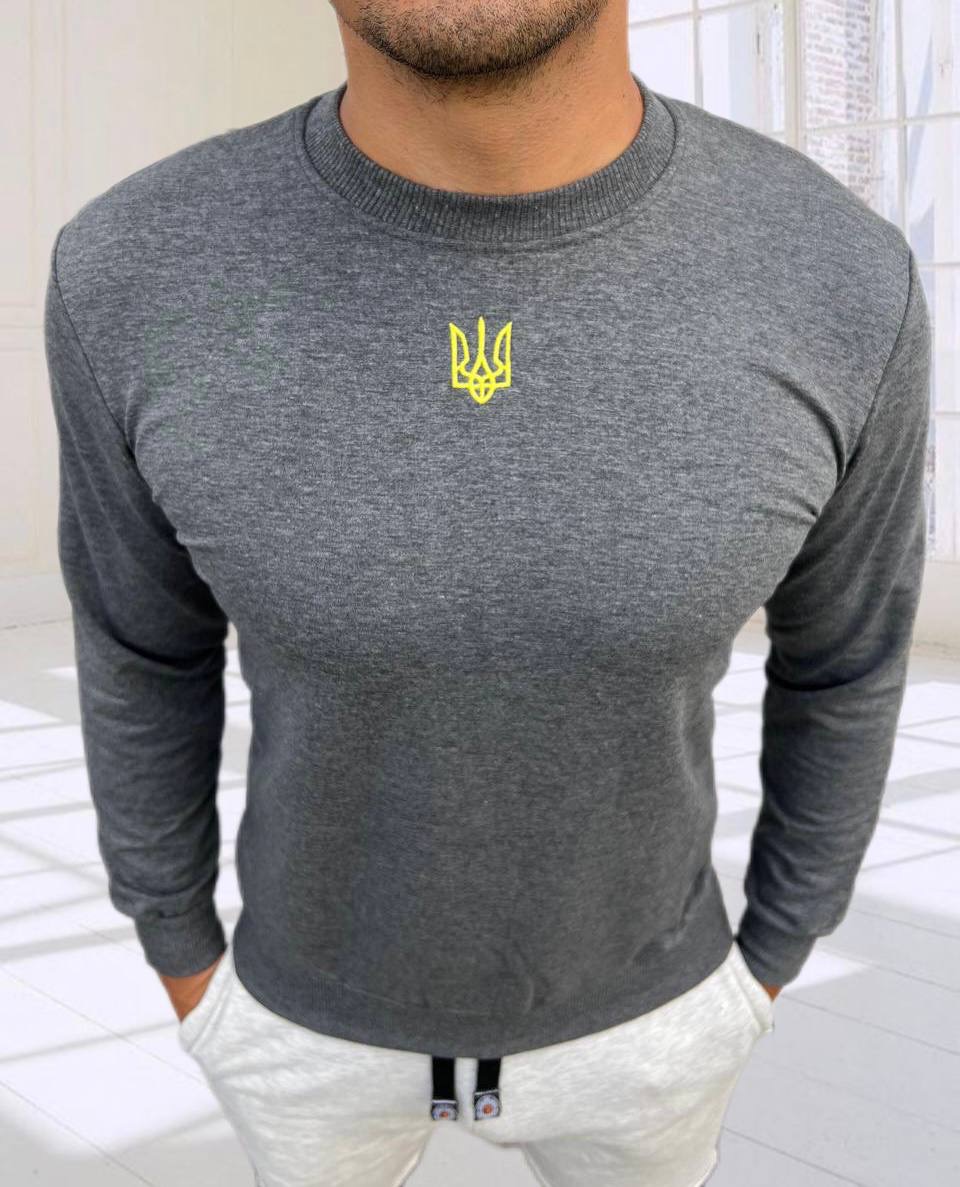 Свитер Nik (M-3XL) 55070 grey (деми)