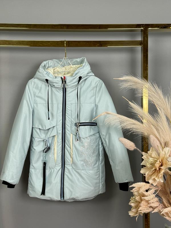 Куртка Delfinka (128-152) 217 l.blue (деми)
