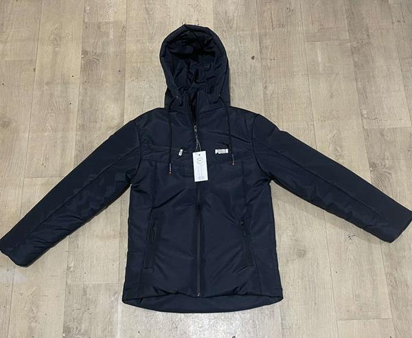 Куртка Ayden (40-48) AD184 navy (деми)