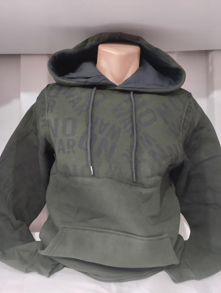 Худи Panda (S-2XL) 1523 khaki (зима)
