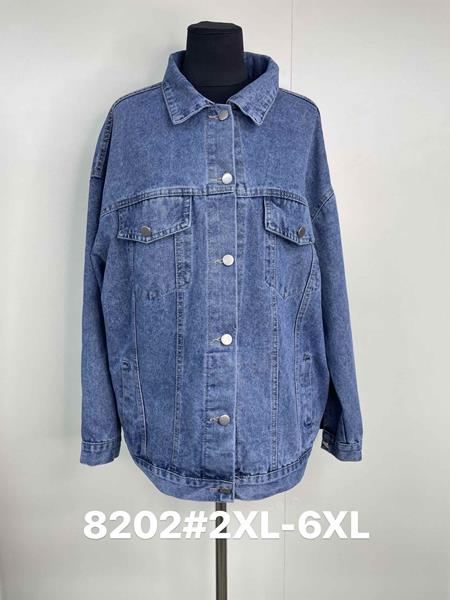 Куртка Jacket (2XL-6XL) 8202 blue (деми)