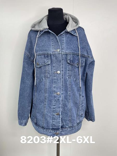 Куртка Jacket (2XL-6XL) 8203 blue (деми)