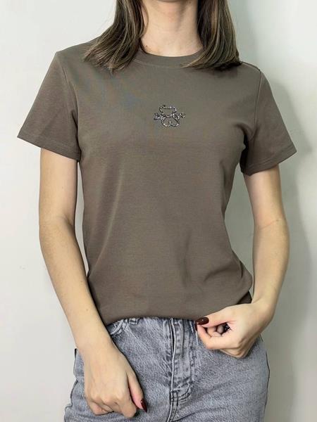 Футболка Kosta (42-48) H209 brown (лето)