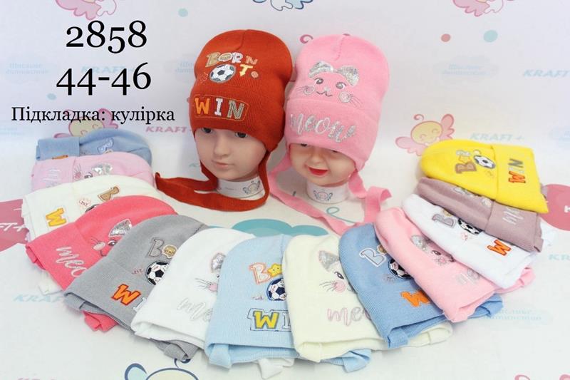 Шапка Red Hat clothes (44-46) 2858 mix (деми)