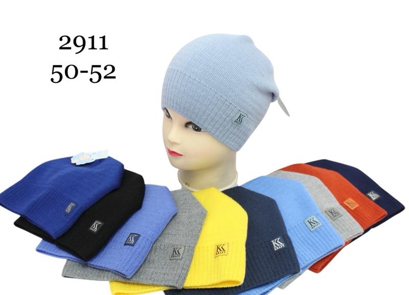 Шапка Red Hat clothes (50-52) 2911 mix (деми)