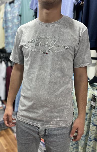 Футболка Vip Stendo (M-2XL) 4768 l.grey (лето)