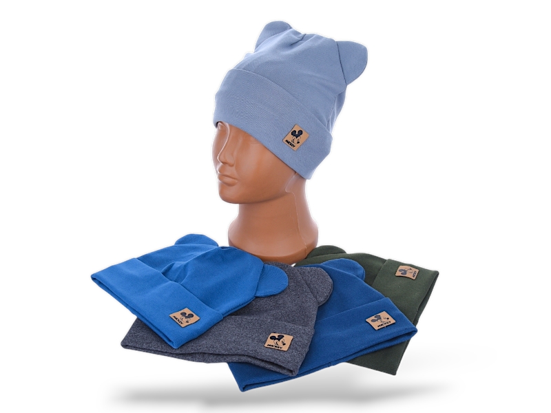 Шапка Red Hat clothes (50-52) RH1123 mix (деми)