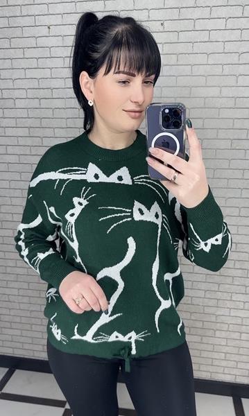 Свитер Shipi (46-50) 25402 green (деми)