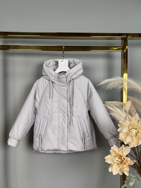 Куртка Delfinka (104-128) 861 grey (деми)