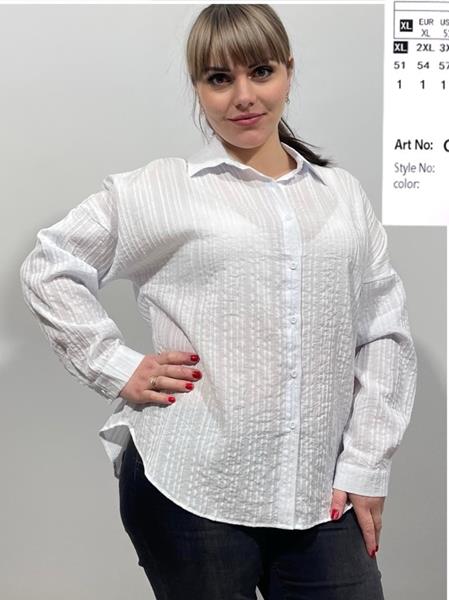 Рубашка BASE (XL-4XL) C057 white (деми)