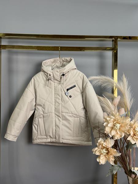 Куртка Delfinka (128-152) 1117 l.grey (деми)