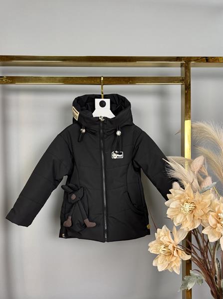 Куртка Delfinka (98-122) 1120 black (деми)