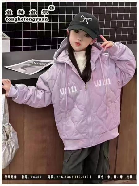 Куртка Delfinka (116-134) 24466 lilac (деми)