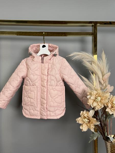 Куртка Delfinka (104-122) 647 pink (деми)