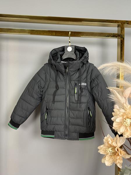 Куртка Delfinka (98-122) A31 d.grey (деми)