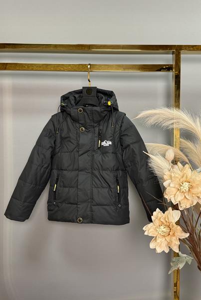 Куртка Delfinka (104-128) A36 d.grey (деми)