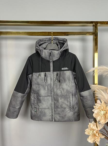 Куртка Delfinka (122-146) B50 grey (деми)