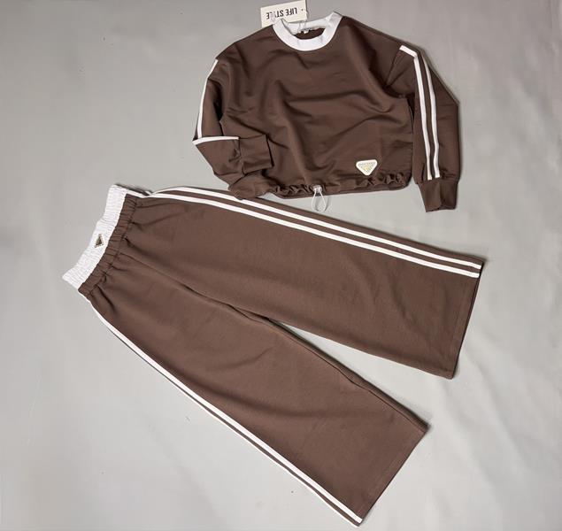 Костюм спорт Bright Harmony (128-164) 836 brown (деми)