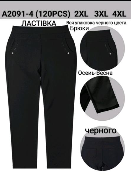 Штаны Hoan (2XL-4XL) A2091-4 black (деми)