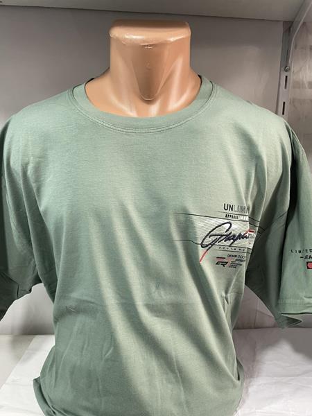 Футболка Sabihina (6XL-9XL) SB658 mint (лето)