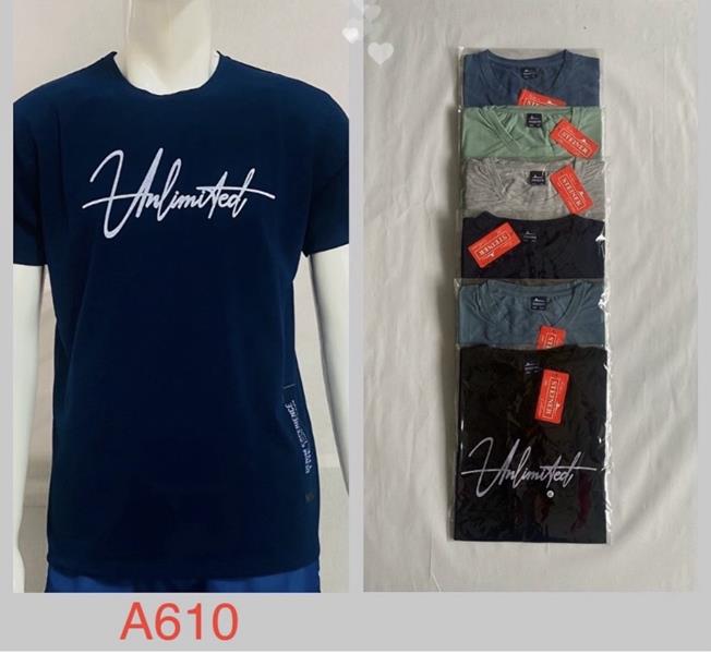 Футболка Ayden (2XL-5XL) A610 mix (лето)