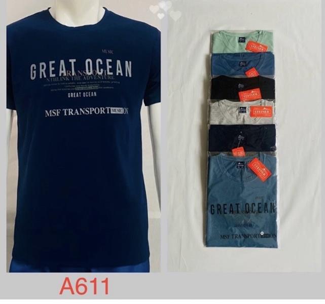 Футболка Ayden (2XL-5XL) A611 mix (лето)