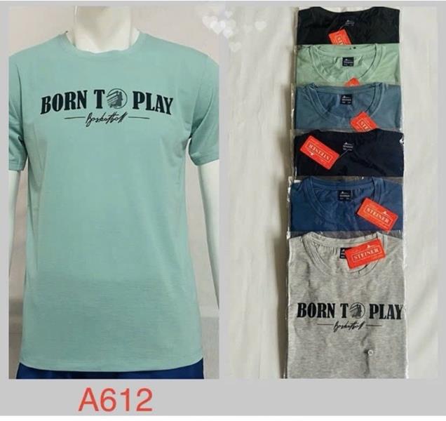 Футболка Ayden (2XL-5XL) A612 mix (лето)