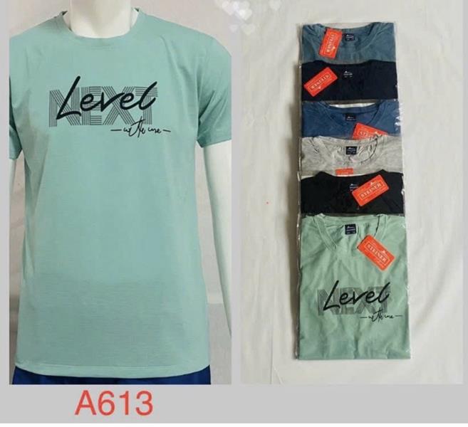 Футболка Ayden (2XL-5XL) A613 mix (лето)