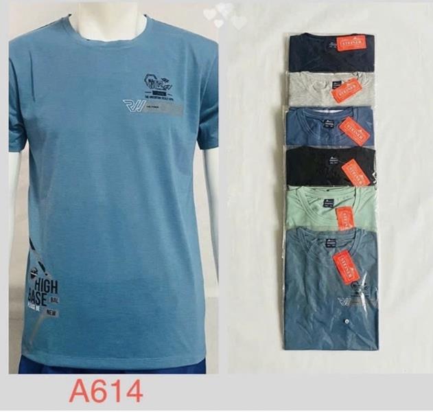 Футболка Ayden (2XL-5XL) A614 mix (лето)