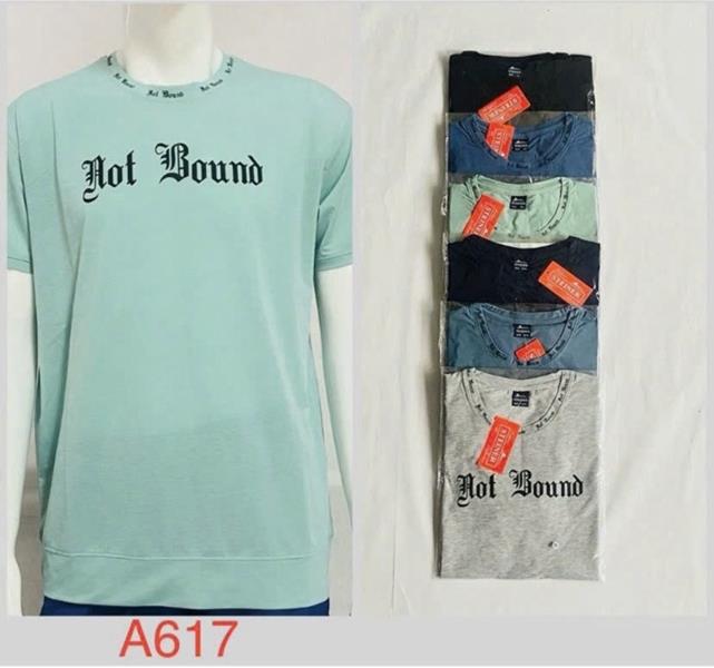 Футболка Ayden (2XL-5XL) A617 mix (лето)