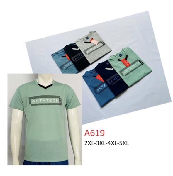 Футболка Ayden (2XL-5XL) A619 mix (лето)