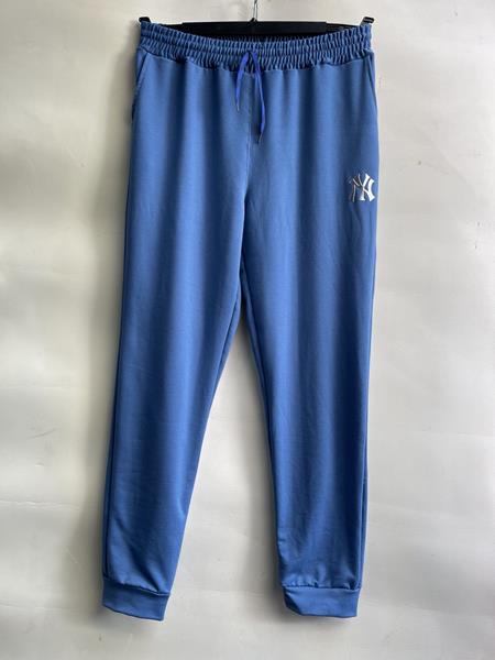 Штаны спорт Ayden (52-60) AD919 blue (деми)