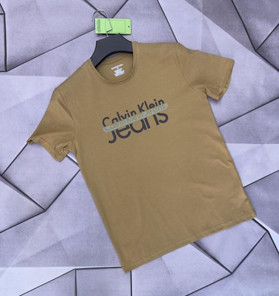 Футболка Rassul (S-2XL) 5188 brown (лето)