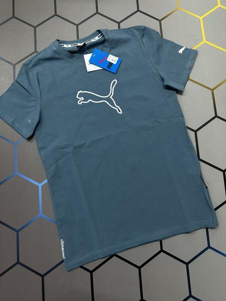 Футболка Alex Clothes (S-2XL) 2763 l.blue (лето)