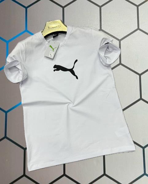 Футболка Alex Clothes (S-2XL) 2769 white (лето)