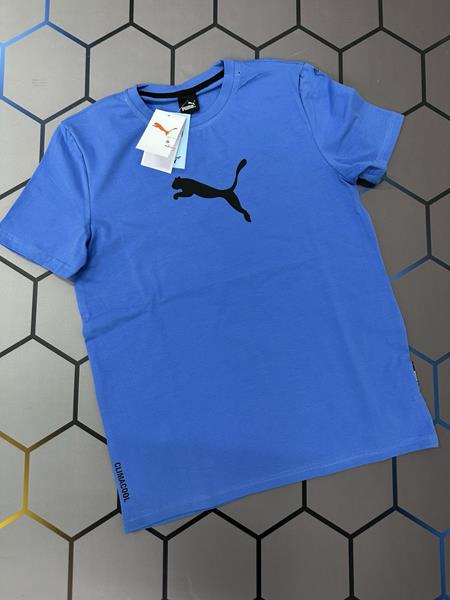 Футболка Alex Clothes (S-2XL) 2772 l.blue (лето)