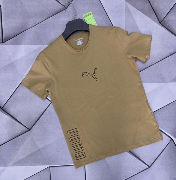 Футболка Rassul (S-2XL) 5287 beige (лето)