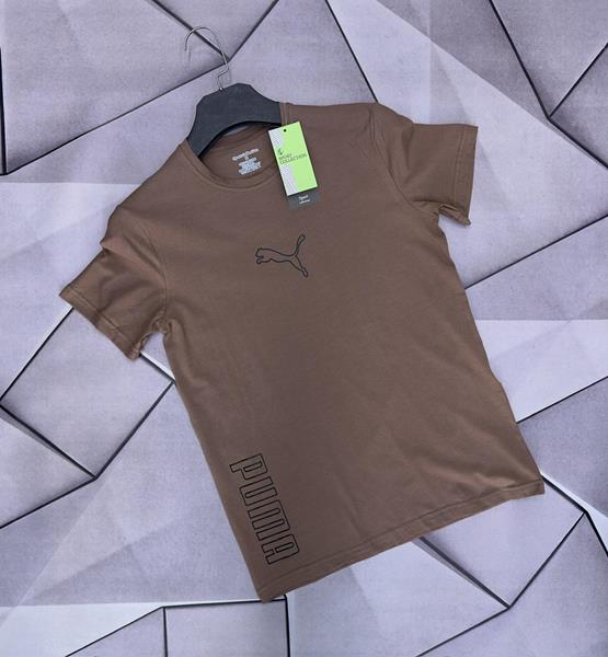 Футболка Rassul (S-2XL) 5290 brown (лето)