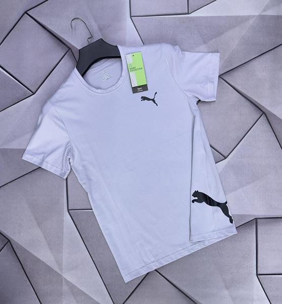 Футболка Rassul (S-2XL) 5296 l.grey (лето)