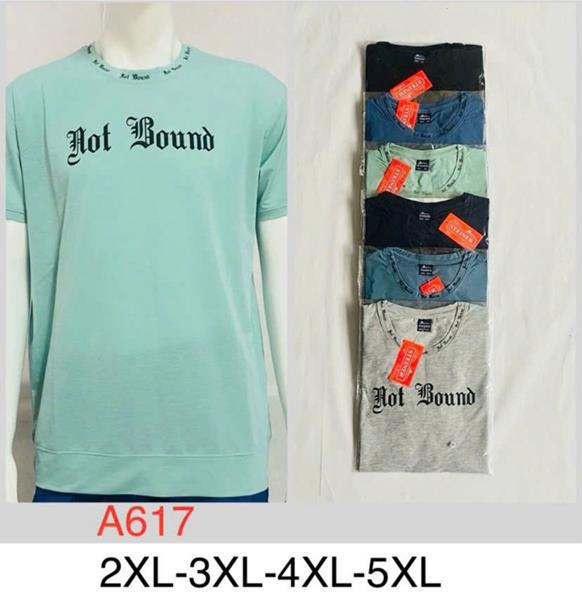Футболка Steiner cloth (2XL-5XL) A617 mix (лето)