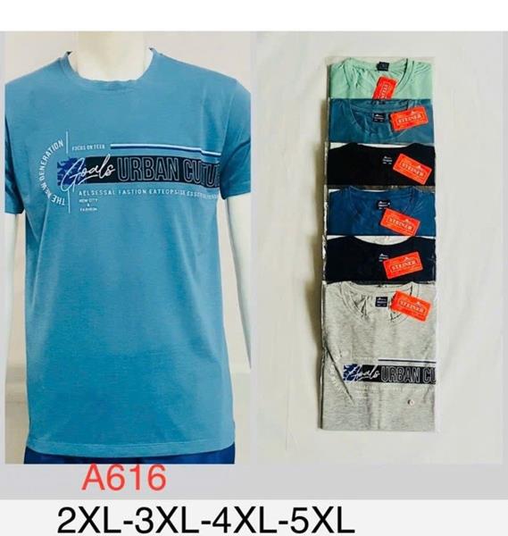 Футболка Steiner cloth (2XL-5XL) A616 mix (лето)
