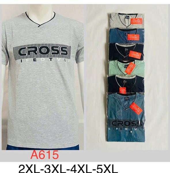 Футболка Steiner cloth (2XL-5XL) A615 mix (лето)