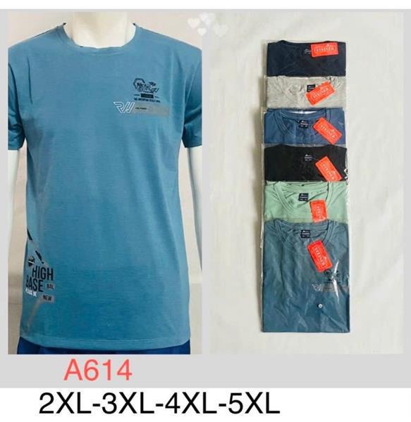 Футболка Steiner cloth (2XL-5XL) A614 mix (лето)