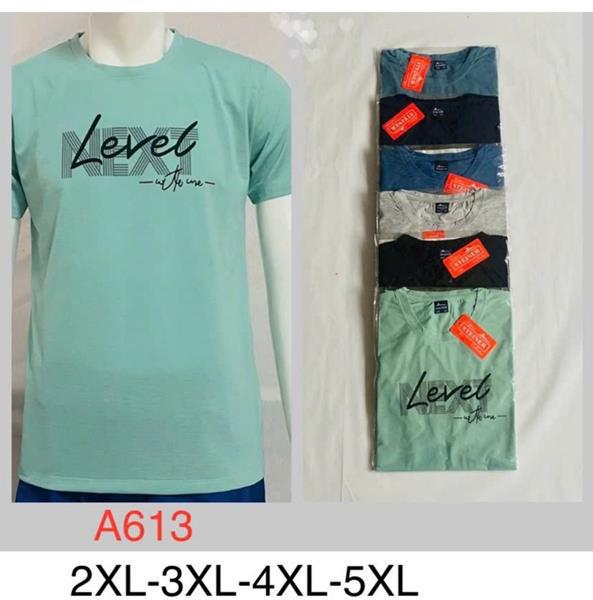 Футболка Steiner cloth (2XL-5XL) A613 mix (лето)