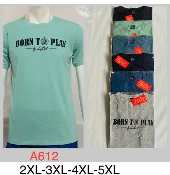 Футболка Steiner cloth (2XL-5XL) A612 mix (лето)