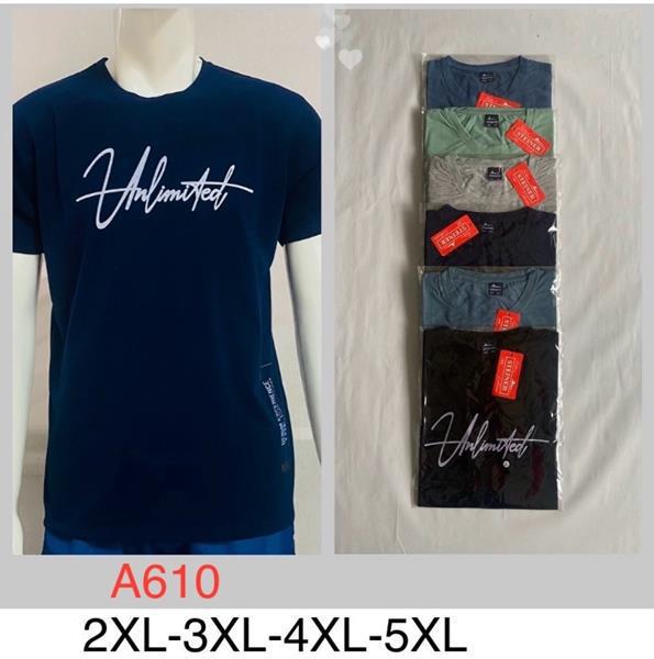 Футболка Steiner cloth (2XL-5XL) A610 mix (лето)